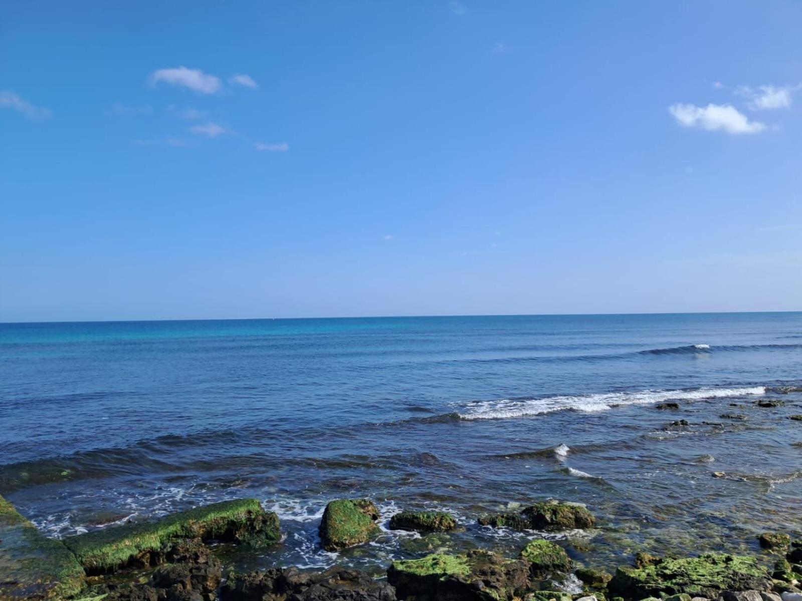 Apartament Domus Levante Bari
